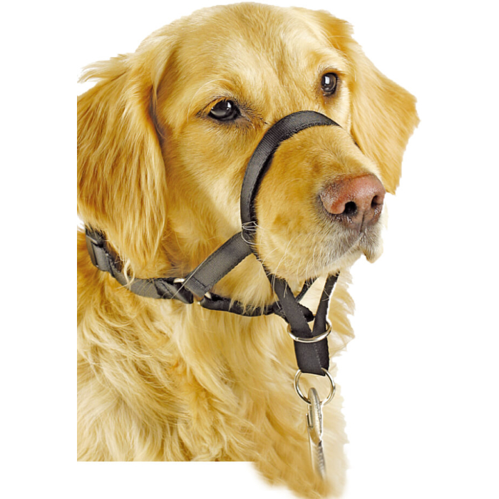 Pawise "Head Collar" Erziehungshilfe für Hunde, schwarz