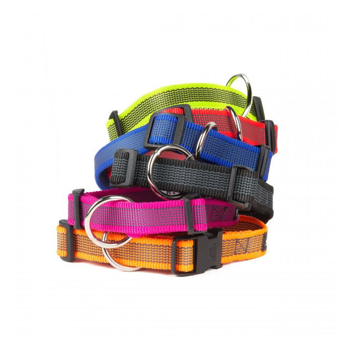 Julius-K9 Halsband Color+Gray, 20mmx27-42cm | Für Hunde