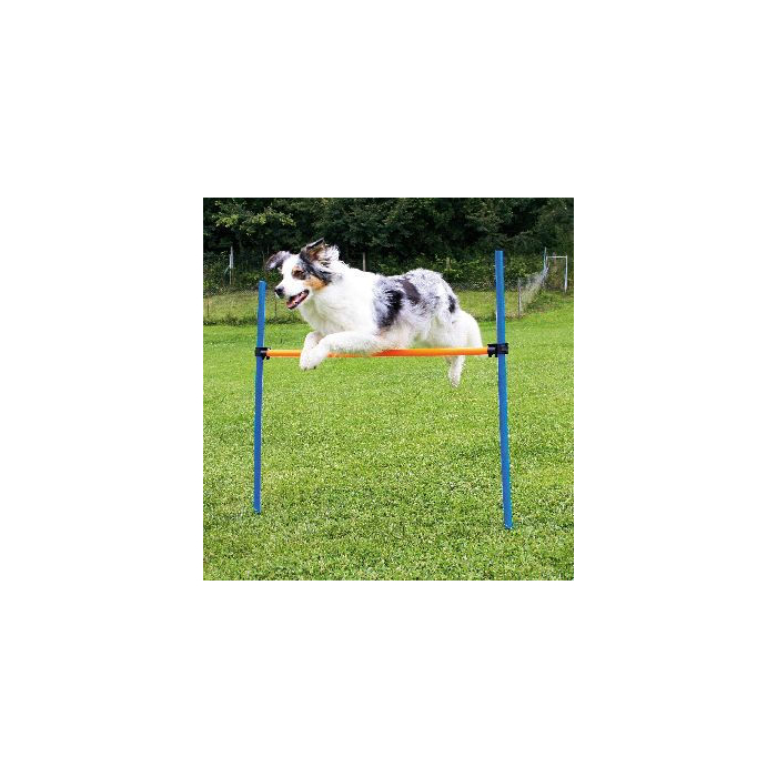 Agility-Hürden-Set