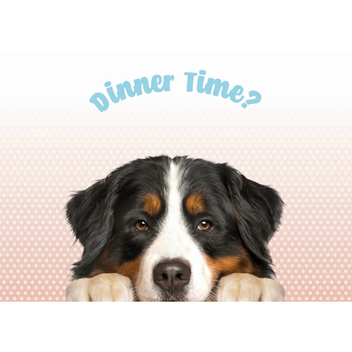 Plentygifts Napfunterlage "Dinner Time" mit Berner Sennenhund, gepunktet