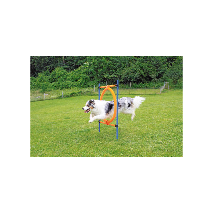 Pawise Agility Sprungring, 2 in 1