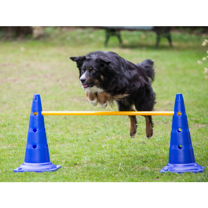 PY Petcenter Cavaletti-Set hoch - 55cm