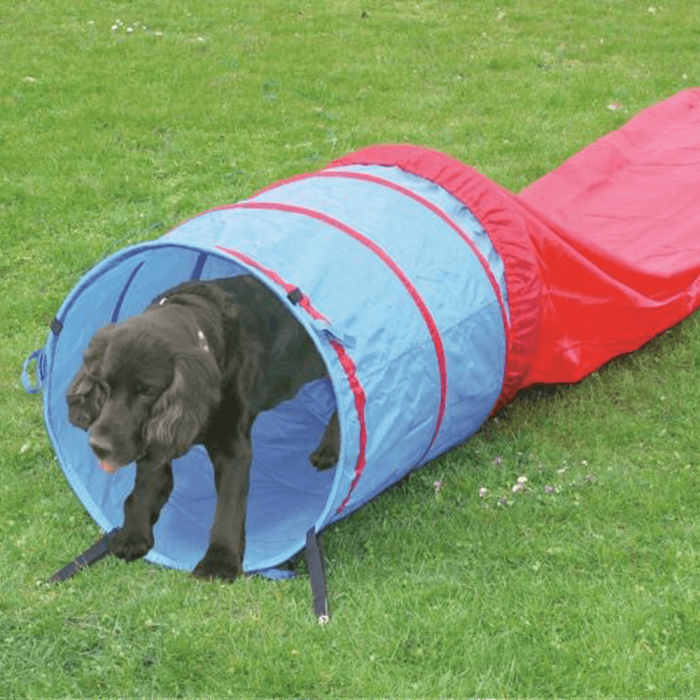 Pawise Agility Tunnel 5m / 60cm - rot/blau