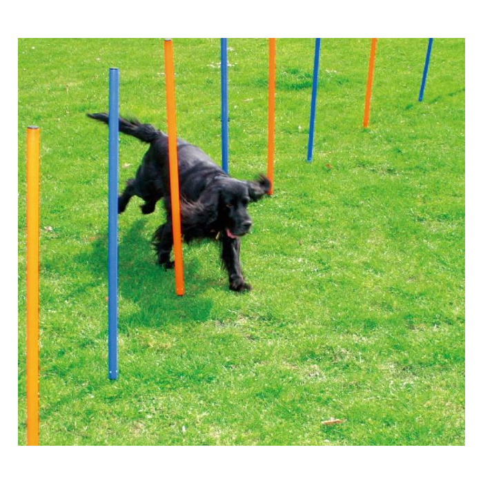 Pawise Agility Slalom-Set, 12 Stangen, blau/orange