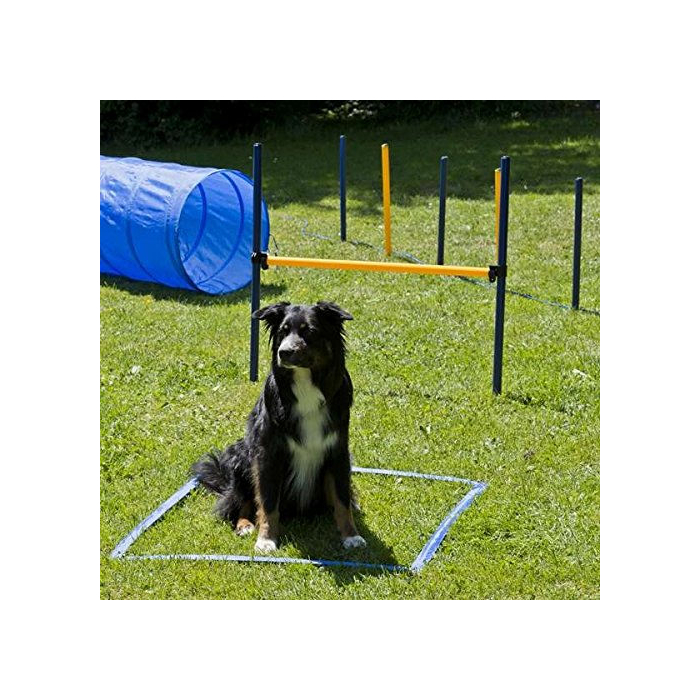 PY XXL Agility Set - 1 Tunnel 60x152 cm, 8 Slalomstangen, 2 Sprünge, 1 Boxband 