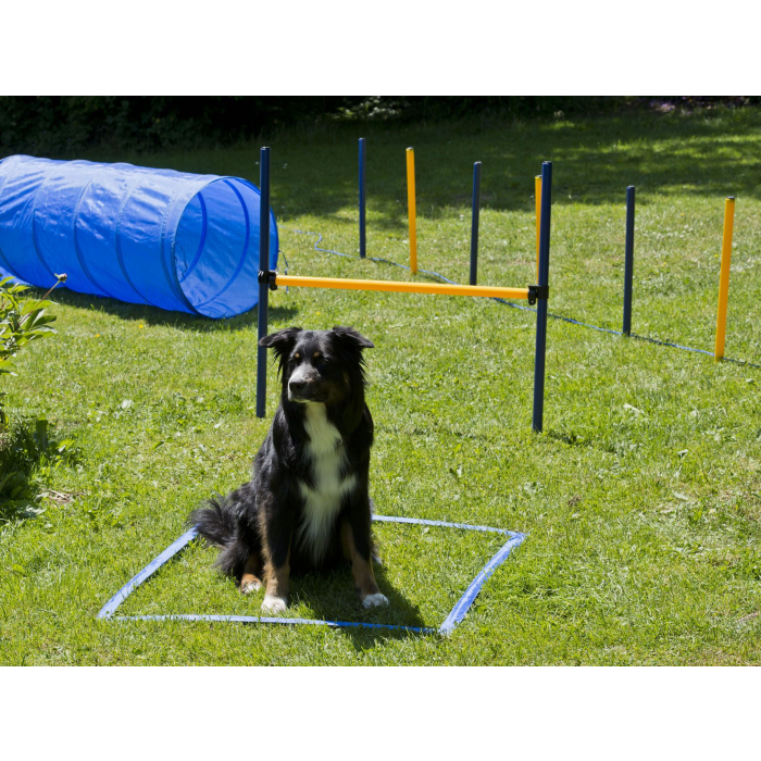 PY Agility Starter Set 1 Tunnel 60x152 cm, 4 Slalomstangen, 1 Sprung, 1 Boxband 