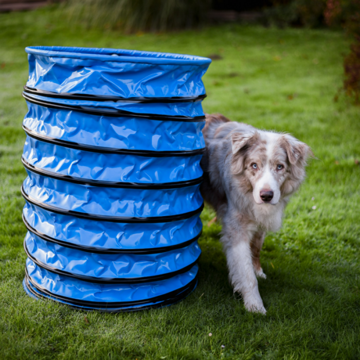 AO Barrel "Fass" Hooper Ø60cm | Für Hunde