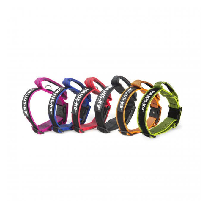 Julius-K9 Halsband Color+Gray, mit Haltegriff, 5cmx49-70cm | Für Hunde