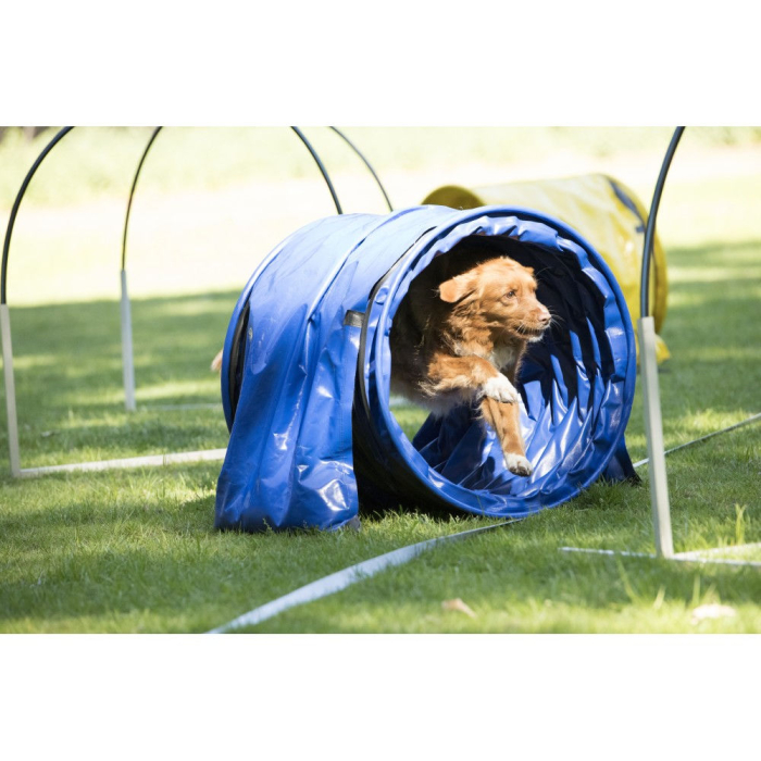 AO Agility-Hooper FIRST Tunnel blau-schwarz, 1m, Ø60cm | Für Hunde