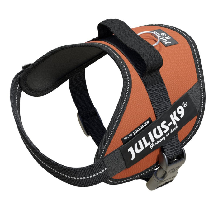 Julius-K9 IDC-Powergeschirr mit Logofeld - Kupferorange | Für Hunde