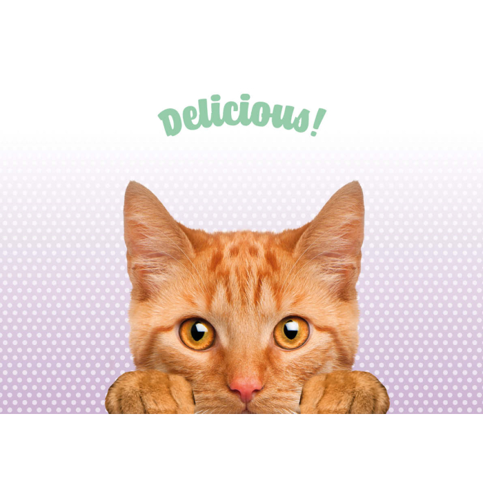 Napfunterlage "Delicious" mit oranger Katze 