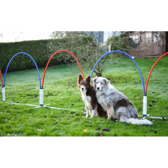 AO Hoopers Slalom mit 6 Bögen | Für Hunde