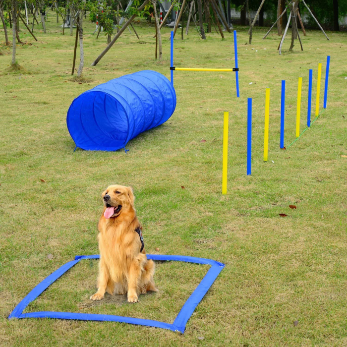 Pawise Agility-Set (Tunnel, Slalom-Stangen, Hürde + Boxband)