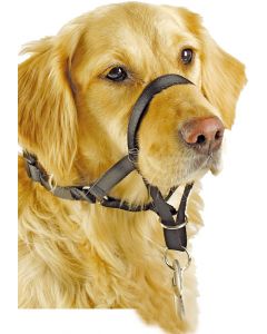 Pawise "Head Collar" Erziehungshilfe für Hunde, schwarz