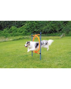 Pawise Agility Sprungring, 2 in 1
