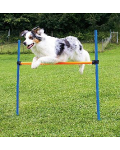 Agility-Hürden-Set