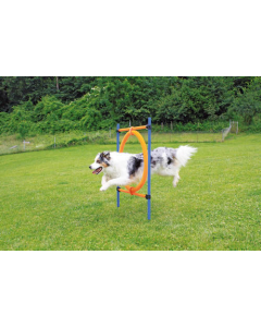 Pawise Agility Sprungring, 2 in 1