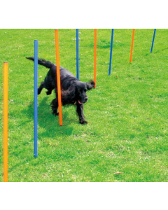 Pawise Agility Slalom-Set, 12 Stangen, blau/orange