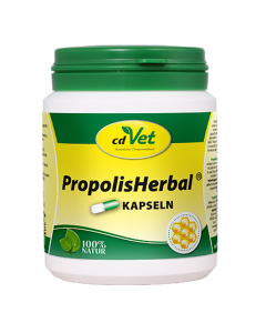 PropolisHerbal 100 Kapseln