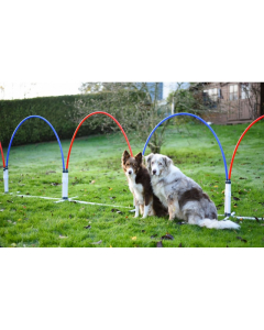 AO Hoopers Slalom mit 6 Bögen | Für Hunde