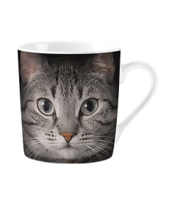 Tasse mit grauer Katze, schwarz