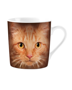 Tasse mit roter Katze, schwarz