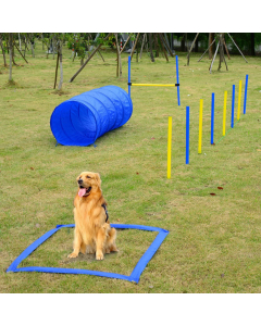 Pawise Agility-Set (Tunnel, Slalom-Stangen, Hürde + Boxband)