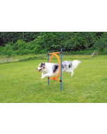 Pawise Agility Sprungring, 2 in 1