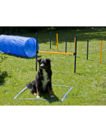 PY Agility Starter Set 1 Tunnel 60x152 cm, 4 Slalomstangen, 1 Sprung, 1 Boxband 