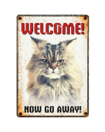 Blechschild "Now go away", 21x15cm